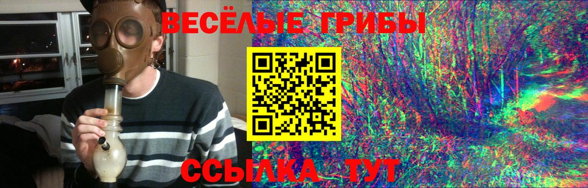 Псилоцибиновые грибы Magic Shrooms Богородск