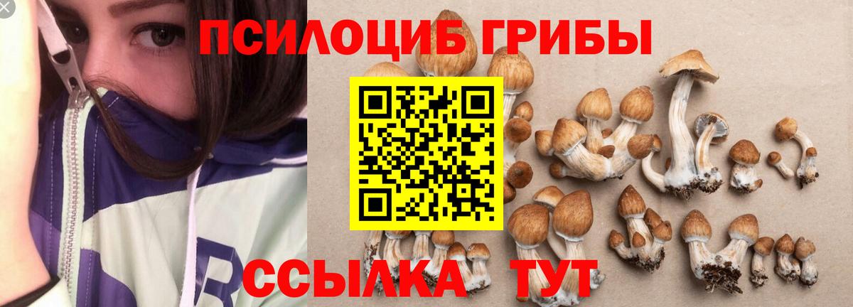 Галлюциногенные грибы Cubensis  Вход с VPN  Богородск  Галлюциногенные грибы MAGIC MUSHROOMS 